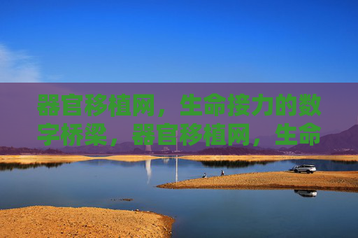 器官移植网,生命接力的数字桥梁,器官移植网,生命接力的数字桥梁 器官移植网,生命接力的数字桥梁,器官移植网,生命接力的数字桥梁