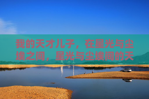 我的天才儿子,在星光与尘埃之间,星光与尘埃间的天才之子 我的天才儿子,在星光与尘埃之间,星光与尘埃间的天才之子