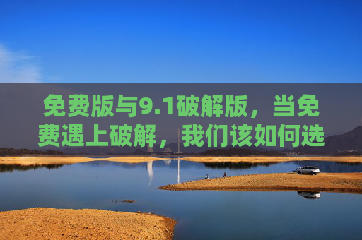 免费版与9.1破解版,当免费遇上破解,我们该如何选择?免费版遇上9.1破解版,我们该如何选择? 免费版与9.1破解版,当免费遇上破解,我们该如何选择?免费版遇上9.1破解版,我们该如何选择?