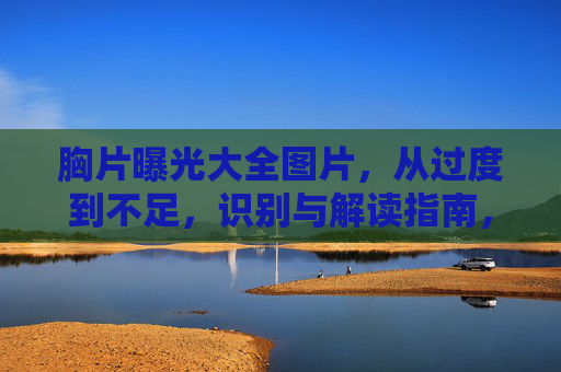 胸片曝光大全图片,从过度到不足,识别与解读指南,胸片曝光异常图谱,从过度到不足的识别与解读指南 胸片曝光大全图片,从过度到不足,识别与解读指南,胸片曝光异常图谱,从过度到不足的识别与解读指南