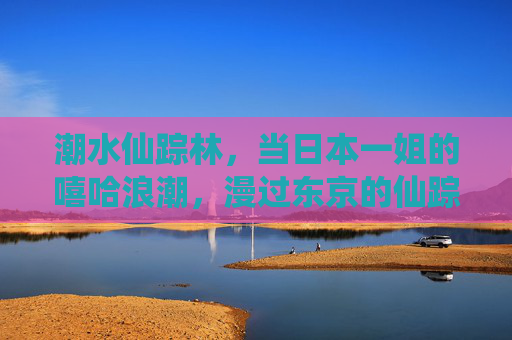 潮水仙踪林,当日本一姐的嘻哈浪潮,漫过东京的仙踪林,日本一姐嘻哈浪潮漫东京仙踪林 潮水仙踪林,当日本一姐的嘻哈浪潮,漫过东京的仙踪林,日本一姐嘻哈浪潮漫东京仙踪林