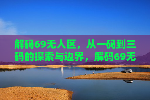 解码69无人区,从一码到三码的探索与边界,解码69无人区,从一码到三码的探索与边界 解码69无人区,从一码到三码的探索与边界,解码69无人区,从一码到三码的探索与边界