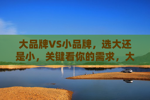 大品牌VS小品牌,选大还是小,关键看你的需求,大品牌VS小品牌,需求定选择 大品牌VS小品牌,选大还是小,关键看你的需求,大品牌VS小品牌,需求定选择