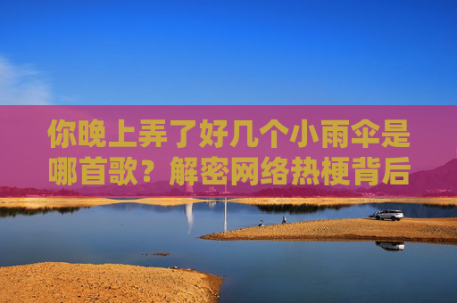 你晚上弄了好几个小雨伞是哪首歌？解密网络热梗背后的谐音与误听文化，你晚上弄了好几个小雨伞，谐音误听与网络热梗文化解密