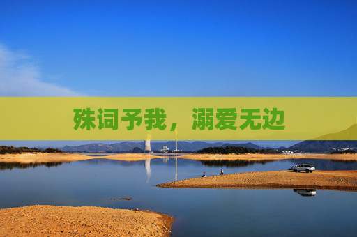 殊词予我,溺爱无边 殊词予我,溺爱无边