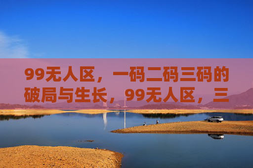99无人区,一码二码三码的破局与生长,99无人区,三码破局与生长 99无人区,一码二码三码的破局与生长,99无人区,三码破局与生长