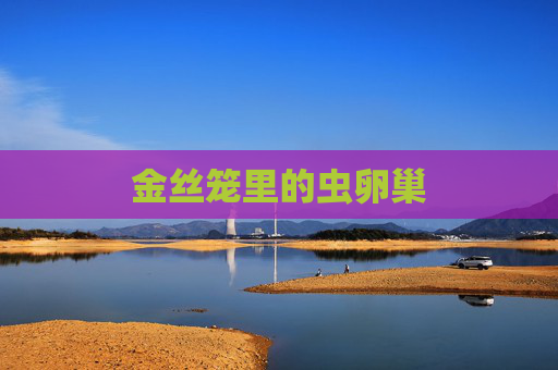 金丝笼里的虫卵巢 金丝笼里的虫卵巢