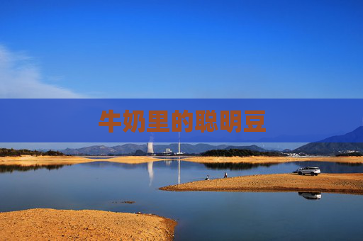 牛奶里的聪明豆 牛奶里的聪明豆