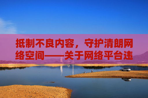 抵制不良内容，守护清朗网络空间——关于网络平台违规内容的警示与规范，守护清朗网络空间——网络平台违规内容警示与规范