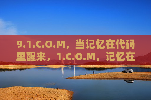 9.1.C.O.M，当记忆在代码里醒来，1.C.O.M，记忆在代码里醒来