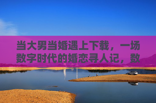当大男当婚遇上下载,一场数字时代的婚恋寻人记,数字下载时代的大男婚恋寻人记 当大男当婚遇上下载,一场数字时代的婚恋寻人记,数字下载时代的大男婚恋寻人记