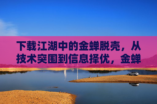 下载江湖中的金蝉脱壳,从技术突围到信息择优,金蝉脱壳,下载江湖中的技术突围与信息择优 下载江湖中的金蝉脱壳,从技术突围到信息择优,金蝉脱壳,下载江湖中的技术突围与信息择优