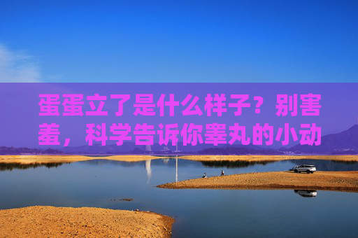 蛋蛋立了是什么样子?别害羞,科学告诉你睾丸的小动作,科学解析,睾丸立起来的样子 蛋蛋立了是什么样子?别害羞,科学告诉你睾丸的小动作,科学解析,睾丸立起来的样子