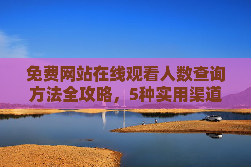 免费网站在线观看人数查询方法全攻略，5种实用渠道助你实时掌握，免费网站在线观看人数查询，5种实用渠道全攻略