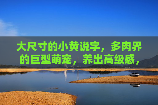 大尺寸的小黄说字,多肉界的巨型萌宠,养出高级感,大尺寸小黄说字,多肉界的巨型萌宠高级感养成记 大尺寸的小黄说字,多肉界的巨型萌宠,养出高级感,大尺寸小黄说字,多肉界的巨型萌宠高级感养成记