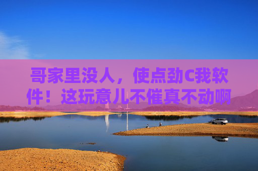 哥家里没人,使点劲C我软件!这玩意儿不催真不动啊,软件不催不动,使点劲催! 哥家里没人,使点劲C我软件!这玩意儿不催真不动啊,软件不催不动,使点劲催!