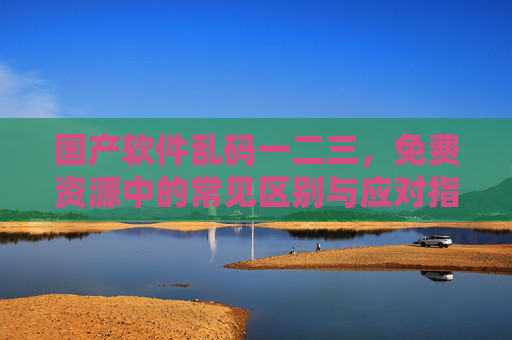 国产软件乱码一二三，免费资源中的常见区别与应对指南，国产软件乱码，免费资源常见区别与应对指南