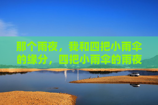 那个雨夜,我和四把小雨伞的缘分,四把小雨伞的雨夜缘分 那个雨夜,我和四把小雨伞的缘分,四把小雨伞的雨夜缘分