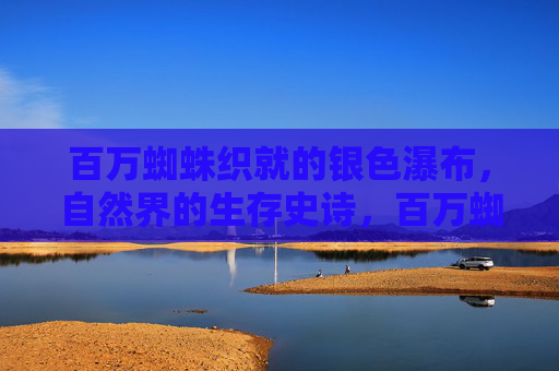 百万蜘蛛织就的银色瀑布,自然界的生存史诗,百万蜘蛛织银瀑,自然生存史诗 百万蜘蛛织就的银色瀑布,自然界的生存史诗,百万蜘蛛织银瀑,自然生存史诗