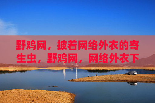 野鸡网,披着网络外衣的寄生虫,野鸡网,网络外衣下的寄生虫 野鸡网,披着网络外衣的寄生虫,野鸡网,网络外衣下的寄生虫