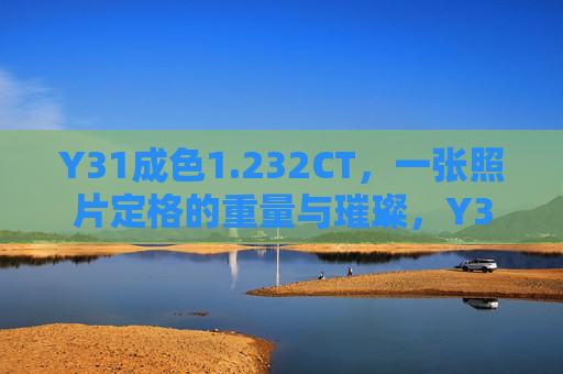 Y31成色1.232CT,一张照片定格的重量与璀璨,Y31 1.232CT,一张照片定格的重量与璀璨 Y31成色1.232CT,一张照片定格的重量与璀璨,Y31 1.232CT,一张照片定格的重量与璀璨