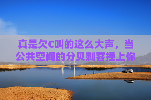 真是欠C叫的这么大声,当公共空间的分贝刺客撞上你的忍耐值,公共空间的分贝刺客,撞碎你的忍耐值 真是欠C叫的这么大声,当公共空间的分贝刺客撞上你的忍耐值,公共空间的分贝刺客,撞碎你的忍耐值