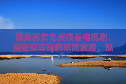 孤男寡女免费观看电视剧，深夜荧幕前的双向救赎，孤男寡女，深夜荧幕前的双向救赎