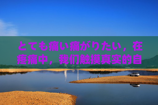 とても痛い痛がりたい,在疼痛中,我们触摸真实的自己,痛中触真我 とても痛い痛がりたい,在疼痛中,我们触摸真实的自己,痛中触真我