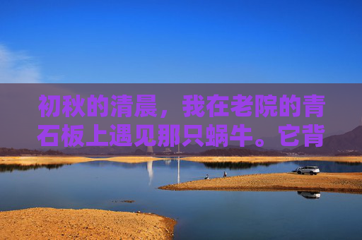 初秋的清晨,我在老院的青石板上遇见那只蜗牛。它背着重重的螺壳,壳上沾着隔夜的露水,正沿着墙根缓缓挪动。没有翅膀,却固执地向上,向着砖缝里那缕漏下的阳光。那一刻我突然想,所谓飞翔,或许从来都与羽翼无关,蜗牛的飞翔 初秋的清晨,我在老院的青石板上遇见那只蜗牛。它背着重重的螺壳,壳上沾着隔夜的露水,正沿着墙根缓缓挪动。没有翅膀,却固执地向上,向着砖缝里那缕漏下的阳光。那一刻我突然想,所谓飞翔,或许从来都与羽翼无关,蜗牛的飞翔