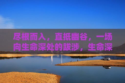 尽根而入,直抵幽谷,一场向生命深处的跋涉,生命深处的尽根跋涉 尽根而入,直抵幽谷,一场向生命深处的跋涉,生命深处的尽根跋涉