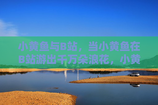 小黄鱼与B站，当小黄鱼在B站游出千万朵浪花，小黄鱼B站游出千万浪花