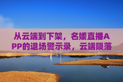从云端到下架，名媛直播APP的退场警示录，云端陨落，名媛直播APP下架警示录