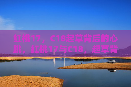 红桃17,C18起草背后的心跳,红桃17与C18,起草背后的心跳 红桃17,C18起草背后的心跳,红桃17与C18,起草背后的心跳