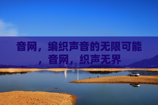音网,编织声音的无限可能,音网,织声无界 音网,编织声音的无限可能,音网,织声无界
