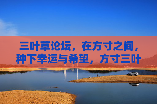 三叶草论坛,在方寸之间,种下幸运与希望,方寸三叶草,种下幸运与希望 三叶草论坛,在方寸之间,种下幸运与希望,方寸三叶草,种下幸运与希望
