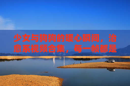 少女与狗狗的暖心瞬间，治愈系视频合集，每一帧都是温柔，少女狗狗暖心治愈，每一帧都是温柔