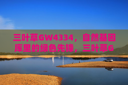 三叶草GW4334,自然基因库里的绿色先锋,三叶草GW4334,自然基因库的绿色先锋 三叶草GW4334,自然基因库里的绿色先锋,三叶草GW4334,自然基因库的绿色先锋