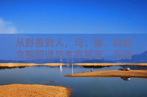 从野兽到人,马、猪、狗的文明图谱与生命寓言,马猪狗,从野兽到人的文明图谱与生命寓言 从野兽到人,马、猪、狗的文明图谱与生命寓言,马猪狗,从野兽到人的文明图谱与生命寓言
