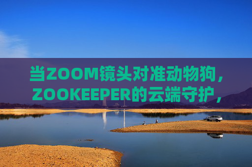 当ZOOM镜头对准动物狗,ZOOKEEPER的云端守护,解锁视频里的治愈密码,云端守护,镜头治愈,狗视频的密码 当ZOOM镜头对准动物狗,ZOOKEEPER的云端守护,解锁视频里的治愈密码,云端守护,镜头治愈,狗视频的密码