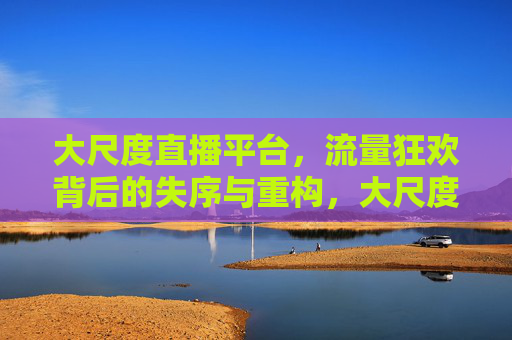 大尺度直播平台,流量狂欢背后的失序与重构,大尺度直播平台,流量狂欢背后的失序与重构 大尺度直播平台,流量狂欢背后的失序与重构,大尺度直播平台,流量狂欢背后的失序与重构