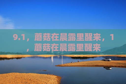9.1,蘑菇在晨露里醒来,1,蘑菇在晨露里醒来 9.1,蘑菇在晨露里醒来,1,蘑菇在晨露里醒来