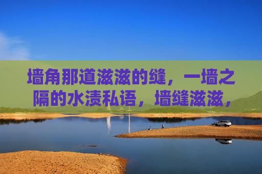 墙角那道滋滋的缝,一墙之隔的水渍私语,墙缝滋滋,水渍隔墙私语 墙角那道滋滋的缝,一墙之隔的水渍私语,墙缝滋滋,水渍隔墙私语
