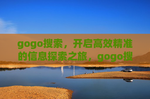 gogo搜索，开启高效精准的信息探索之旅，gogo搜索，高效精准的信息探索之旅