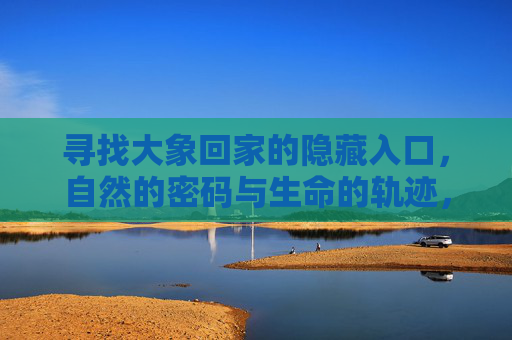 寻找大象回家的隐藏入口,自然的密码与生命的轨迹,大象的隐藏归途,自然的密码与生命轨迹 寻找大象回家的隐藏入口,自然的密码与生命的轨迹,大象的隐藏归途,自然的密码与生命轨迹