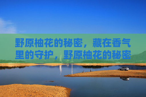 野原柚花的秘密,藏在香气里的守护,野原柚花的秘密,藏在香气里的守护 野原柚花的秘密,藏在香气里的守护,野原柚花的秘密,藏在香气里的守护