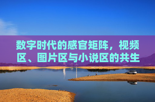 数字时代的感官矩阵,视频区、图片区与小说区的共生共鸣,数字感官矩阵,视频、图片与小说的共生共鸣 数字时代的感官矩阵,视频区、图片区与小说区的共生共鸣,数字感官矩阵,视频、图片与小说的共生共鸣