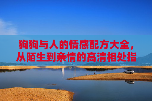 狗狗与人的情感配方大全,从陌生到亲情的高清相处指南,狗狗与人的情感配方,从陌生到亲情的相处指南 狗狗与人的情感配方大全,从陌生到亲情的高清相处指南,狗狗与人的情感配方,从陌生到亲情的相处指南