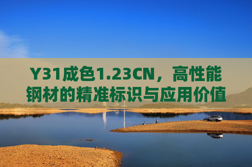 Y31成色1.23CN,高性能钢材的精准标识与应用价值解析,Y31成色1.23CN,高性能钢材的精准标识与应用价值解析 Y31成色1.23CN,高性能钢材的精准标识与应用价值解析,Y31成色1.23CN,高性能钢材的精准标识与应用价值解析