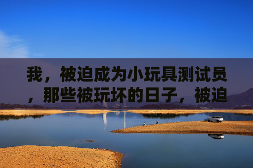 我，被迫成为小玩具测试员，那些被玩坏的日子，被迫当玩具测试员，那些被玩坏的日子