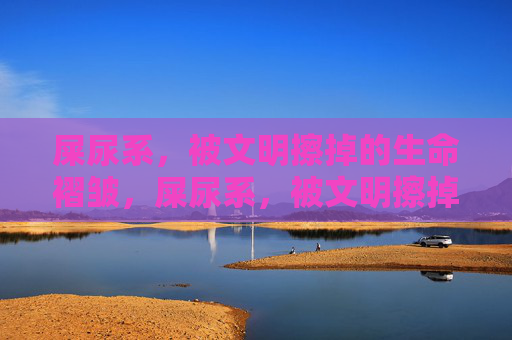 屎尿系,被文明擦掉的生命褶皱,屎尿系,被文明擦掉的生命褶皱 屎尿系,被文明擦掉的生命褶皱,屎尿系,被文明擦掉的生命褶皱